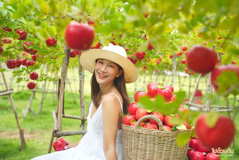 เที่ยวพัทยา, คาเฟ่พัทยา, ร้านกาแฟพัทยา, พัทยา, top 30+ คาเฟ่พัทยา สุดคูล เอาใจสายถ่ายภาพ