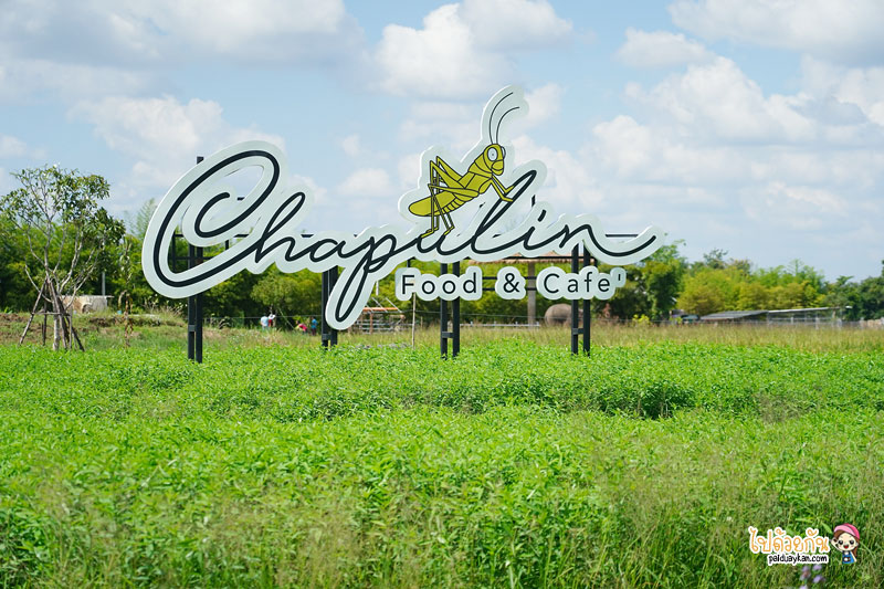 ร้านอาหารเชียงใหม่, chapulin food & cafe, ชะพูลิน ฟู๊ด แอนด์ คาเฟ่, คาเฟ่สันกำแพง, ร้านอาหารสันกำแพง, คาเฟ่เชียงใหม่, ชะพูลิน ฟู๊ด แอนด์ คาเฟ่ ถ่ายรูปกับบันไดสวรรค์สุดชิค