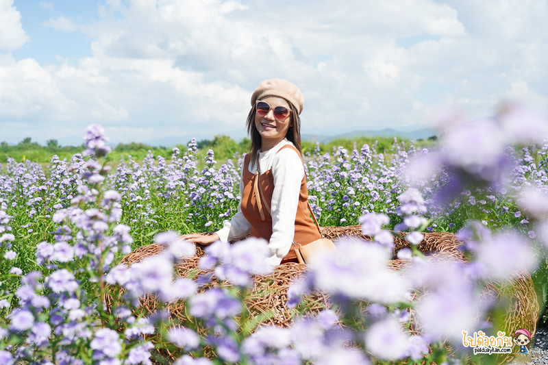 ร้านอาหารเชียงใหม่, chapulin food & cafe, ชะพูลิน ฟู๊ด แอนด์ คาเฟ่, คาเฟ่สันกำแพง, ร้านอาหารสันกำแพง, คาเฟ่เชียงใหม่, ชะพูลิน ฟู๊ด แอนด์ คาเฟ่ ถ่ายรูปกับบันไดสวรรค์สุดชิค