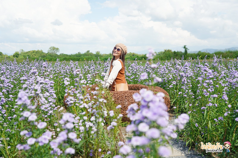 ร้านอาหารเชียงใหม่, chapulin food & cafe, ชะพูลิน ฟู๊ด แอนด์ คาเฟ่, คาเฟ่สันกำแพง, ร้านอาหารสันกำแพง, คาเฟ่เชียงใหม่, ชะพูลิน ฟู๊ด แอนด์ คาเฟ่ ถ่ายรูปกับบันไดสวรรค์สุดชิค