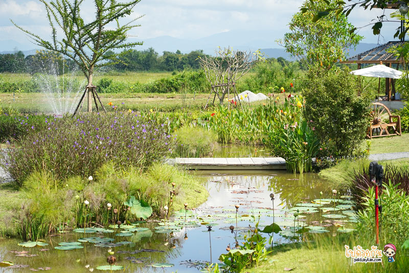 ร้านอาหารเชียงใหม่, chapulin food & cafe, ชะพูลิน ฟู๊ด แอนด์ คาเฟ่, คาเฟ่สันกำแพง, ร้านอาหารสันกำแพง, คาเฟ่เชียงใหม่, ชะพูลิน ฟู๊ด แอนด์ คาเฟ่ ถ่ายรูปกับบันไดสวรรค์สุดชิค