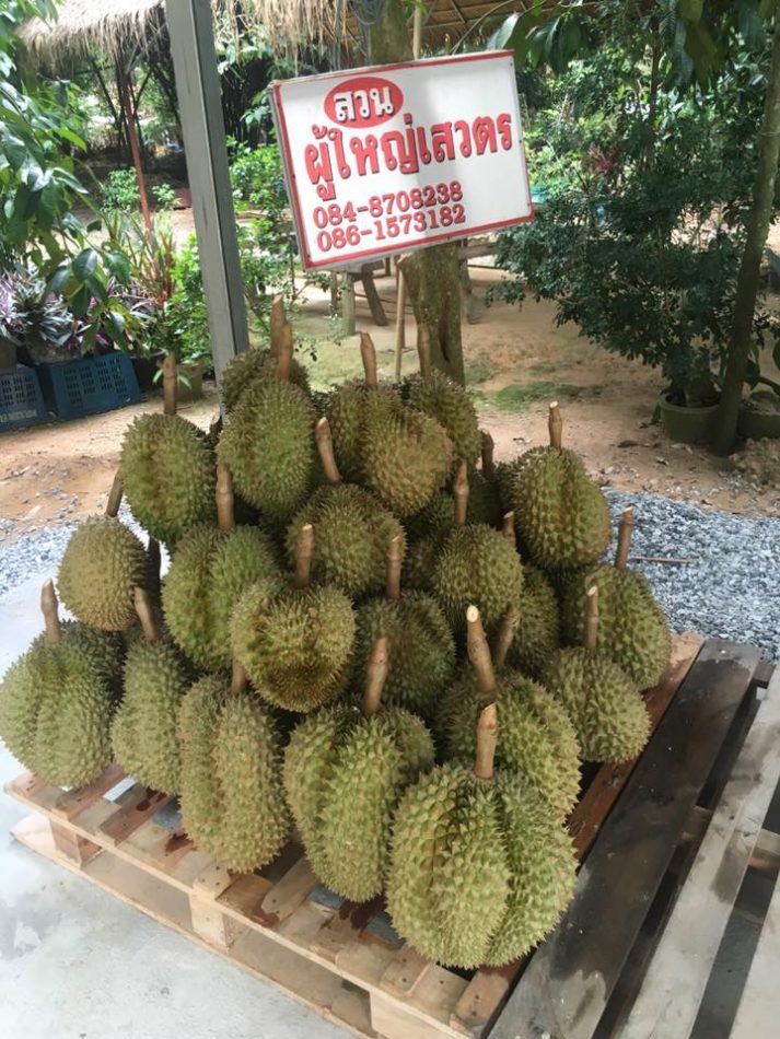 ระยอง, top 5+ บุฟเฟ่ต์ทุเรียน บุฟเฟ่ต์ผลไม้ กินทุเรียนได้ไม่อั้น
