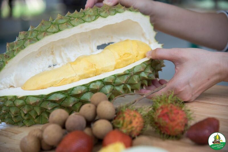 ระยอง, top 5+ บุฟเฟ่ต์ทุเรียน บุฟเฟ่ต์ผลไม้ กินทุเรียนได้ไม่อั้น