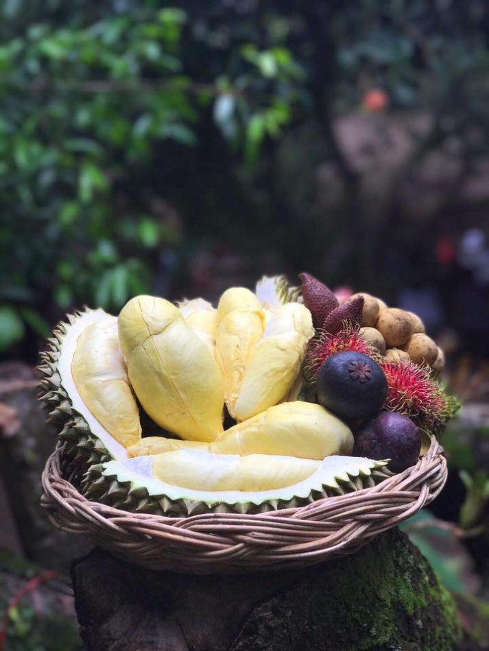 ระยอง, top 5+ บุฟเฟ่ต์ทุเรียน บุฟเฟ่ต์ผลไม้ กินทุเรียนได้ไม่อั้น