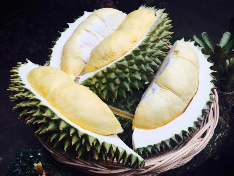 ระยอง, top 5+ บุฟเฟ่ต์ทุเรียน บุฟเฟ่ต์ผลไม้ กินทุเรียนได้ไม่อั้น