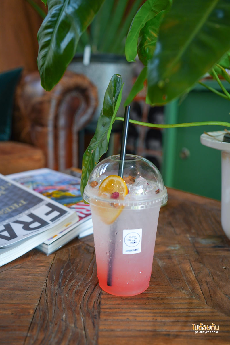 คาเฟ่ลาดพร้าว, plant me on the moon, plant me on the moon คาเฟ่ต้นไม้ ในโรงเรือนสุดเท่