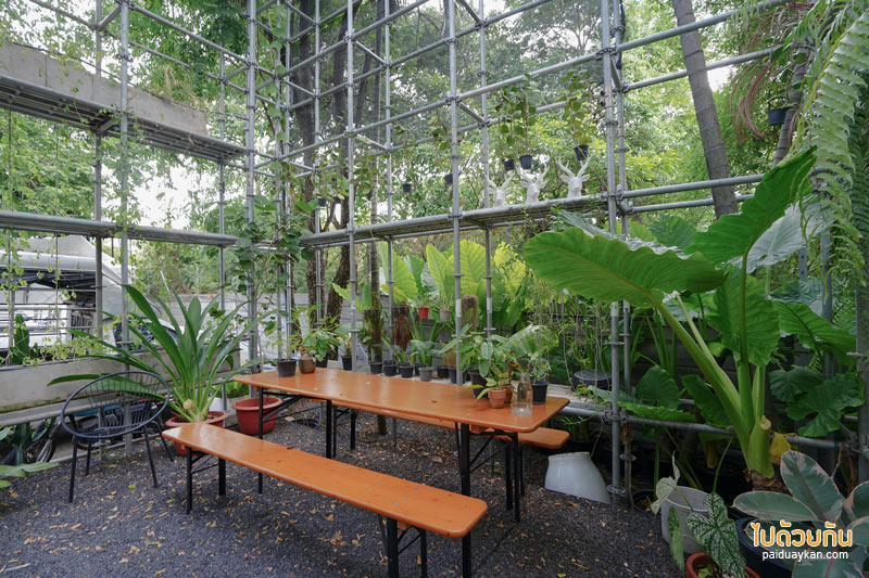 คาเฟ่ลาดพร้าว, plant me on the moon, plant me on the moon คาเฟ่ต้นไม้ ในโรงเรือนสุดเท่