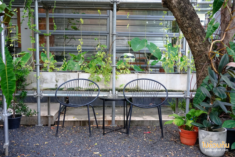 คาเฟ่ลาดพร้าว, plant me on the moon, plant me on the moon คาเฟ่ต้นไม้ ในโรงเรือนสุดเท่