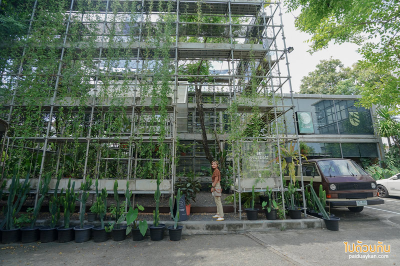 คาเฟ่ลาดพร้าว, plant me on the moon, plant me on the moon คาเฟ่ต้นไม้ ในโรงเรือนสุดเท่