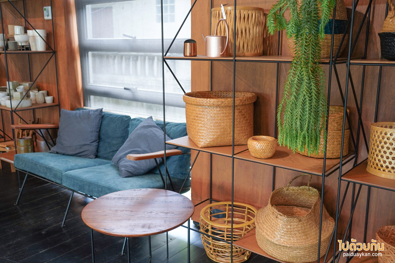 คาเฟ่ลาดพร้าว, plant me on the moon, plant me on the moon คาเฟ่ต้นไม้ ในโรงเรือนสุดเท่