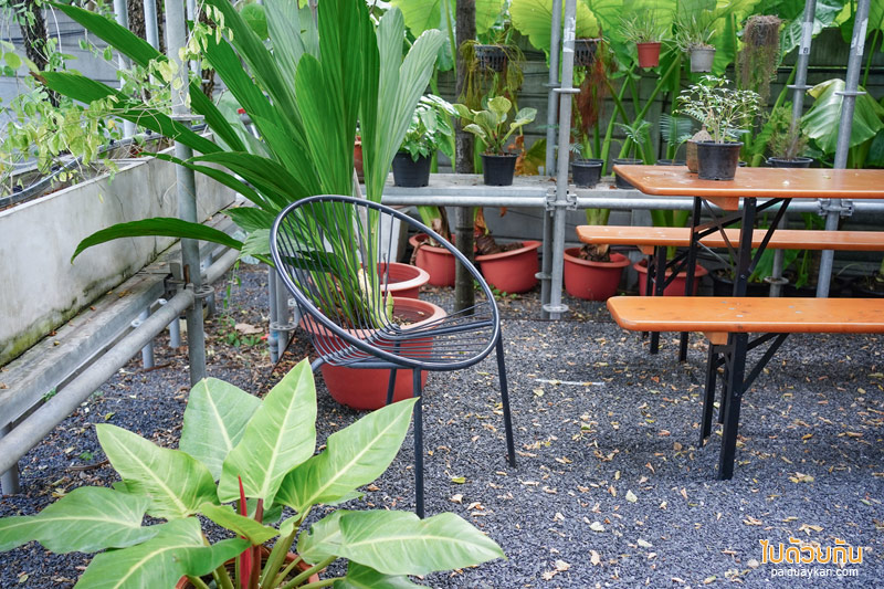 คาเฟ่ลาดพร้าว, plant me on the moon, plant me on the moon คาเฟ่ต้นไม้ ในโรงเรือนสุดเท่