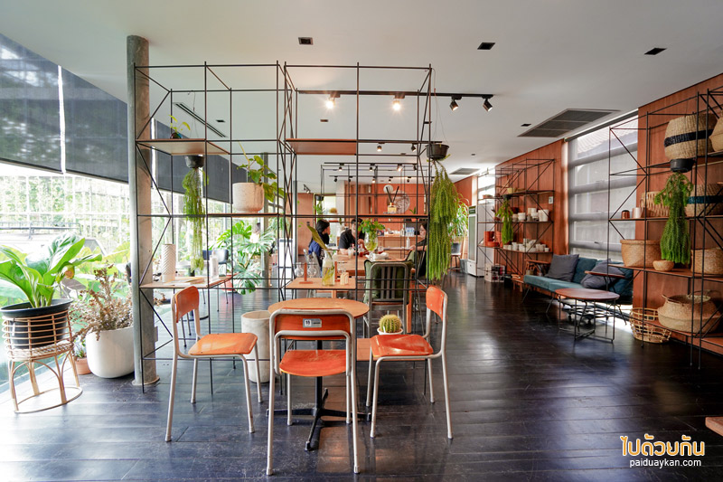 คาเฟ่ลาดพร้าว, plant me on the moon, plant me on the moon คาเฟ่ต้นไม้ ในโรงเรือนสุดเท่