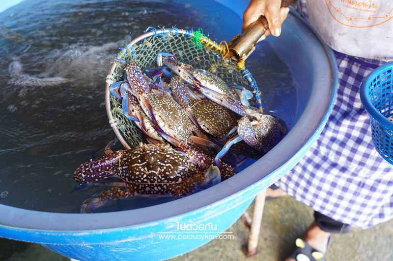 โอ้โห ปูอร่อย ณ แหลมผักเบี้ย, ร้านอาหารแหลมผักเบี้ย, ร้านอาหารบ้านแหลม, ร้านอาหารบางตะบูน, โอ้โห ปูอร่อย แหลมผักเบี้ย