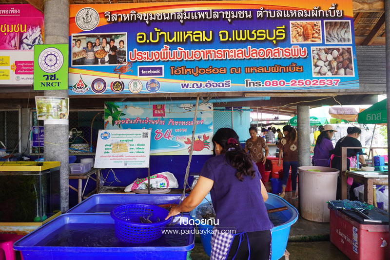 โอ้โห ปูอร่อย ณ แหลมผักเบี้ย, ร้านอาหารแหลมผักเบี้ย, ร้านอาหารบ้านแหลม, ร้านอาหารบางตะบูน, โอ้โห ปูอร่อย แหลมผักเบี้ย