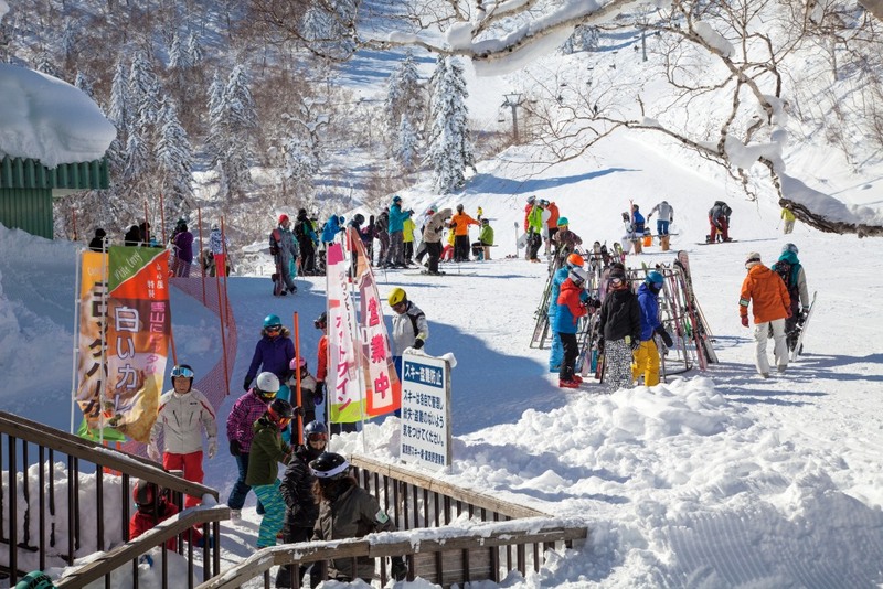 คลองโอตารุ, คิโรโระสกีรีสอร์ท, งานไฟ โอตารุ, ซัปโปโร, ซัปโปโร ฮอกไกโด, ท่องเที่ยวญี่ปุ่น, ท่องเที่ยวฮอกไกโด, วาเลนไทน์, วาเลนไทน์ ญี่ปุ่น, ศาลเจ้าคาสุกะ, ศาลเจ้าคาสุกะ ไทฉะ, สกีรีสอร์ท, หิมะซัปโปโร, เซซึึบึน, เทศกาลหิมะ 2024, เทศกาลหิมะ ญี่ปุ่น, เทศกาลหิมะ ญี่ปุ่น 2024, เทศกาลหิมะซัปโปโร, เที่ยวญี่ปุ่น, เที่ยวญี่ปุ่น กุมภา, เที่ยวญี่ปุ่น กุมภาพันธ์, เที่ยวฮอกไกโด, เที่ยวโตเกียว, โตเกียวมาราธอน, top 10+ เทศกาลน่าไป เมื่อไปเที่ยวประเทศญี่ปุ่น ในเดือนกุมภาพันธ์ 2024