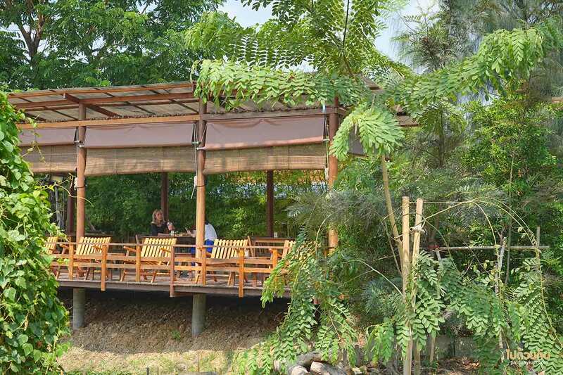 คาเฟ่ปทุมธานี, คาเฟ่ญี่ปุ่นปทุมธานี, three iconic, เปิดวาร์ป three iconic คาเฟ่ในสวน พิกัดลับสายมินิมอล ญี่ปุ่นแบบตะโกน