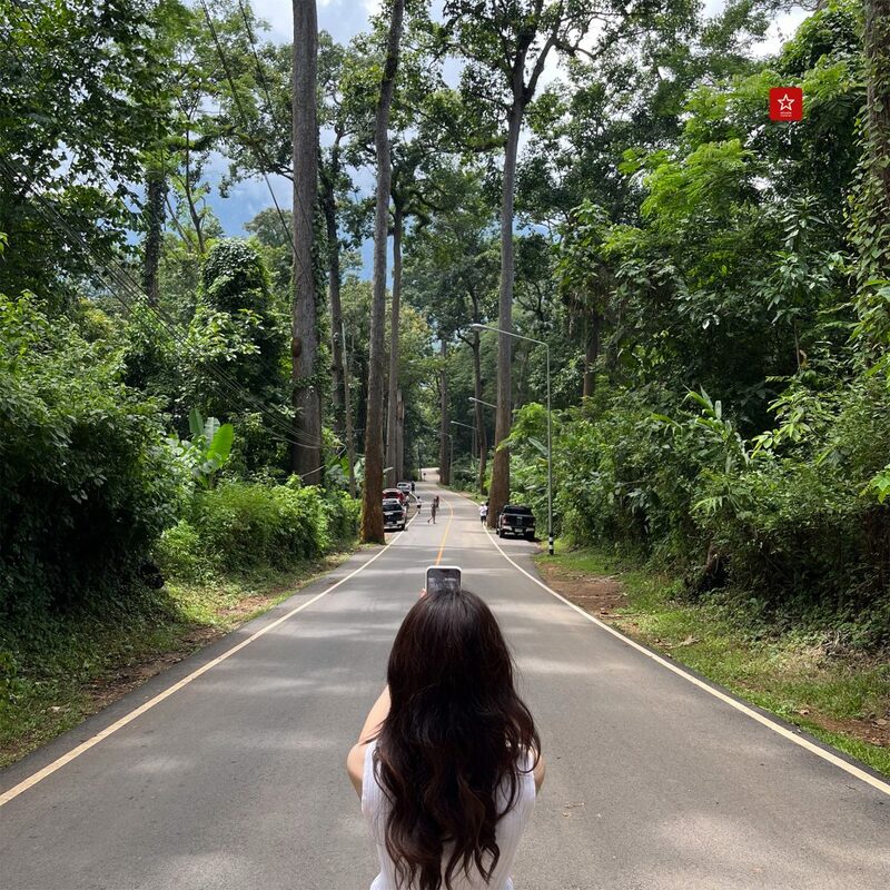 reviewchaingmai, รถแดง, รีวิวเชียงใหม่, สวนสนแม่แตง, เชียงดาว, เชียงใหม่, เที่ยวหน้าฝน, เที่ยวเชียงใหม่, เที่ยวฤดูฝน เดินเล่นป่าสน แช่ออนเซ็นบนดอย