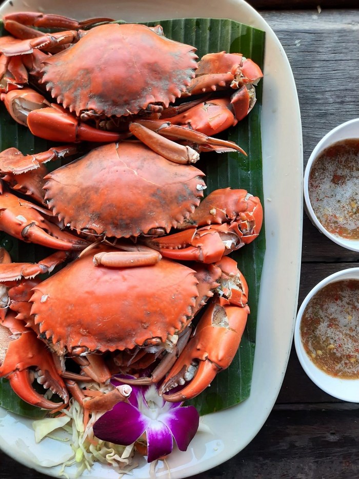 ชะอำ, หัวหิน, เพชรบุรี, top 8+ ร้านอาหารเพชรบุรี 2567 ร้านเด็ดต้องไปกินกับครอบครัว