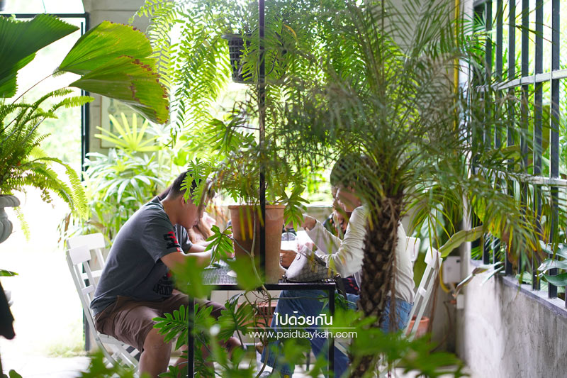 คาเฟ่สุพรรณบุรี, a life cafe & gallery สุพรรณบุรี, ร้านกาแฟอู่ทอง, ร้านกาแฟสุพรรณบุรี, a life cafe & gallery คาเฟ่สุดเท่ กลางสวนสีเขียว