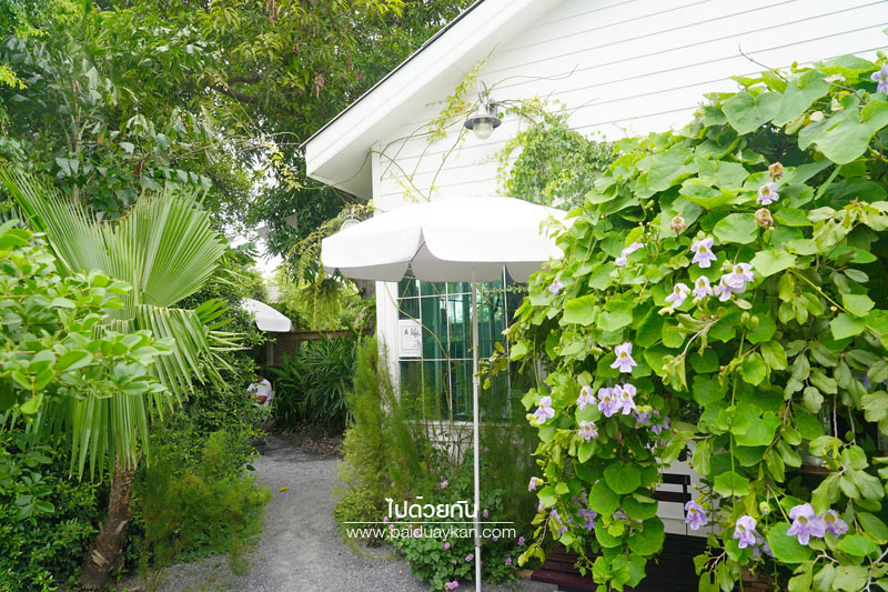 คาเฟ่สุพรรณบุรี, a life cafe & gallery สุพรรณบุรี, ร้านกาแฟอู่ทอง, ร้านกาแฟสุพรรณบุรี, a life cafe & gallery คาเฟ่สุดเท่ กลางสวนสีเขียว