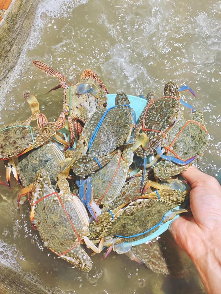 ร้านบุฟเฟ่ต์ซีฟู้ดพัทยา อาหารทะเลสดใหม่ทุกวัน อิ่มไม่อั้นรับประกันความสด