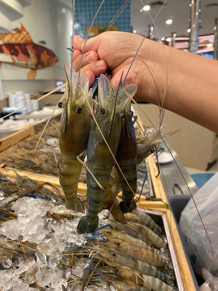 ร้านบุฟเฟ่ต์ซีฟู้ดพัทยา อาหารทะเลสดใหม่ทุกวัน อิ่มไม่อั้นรับประกันความสด