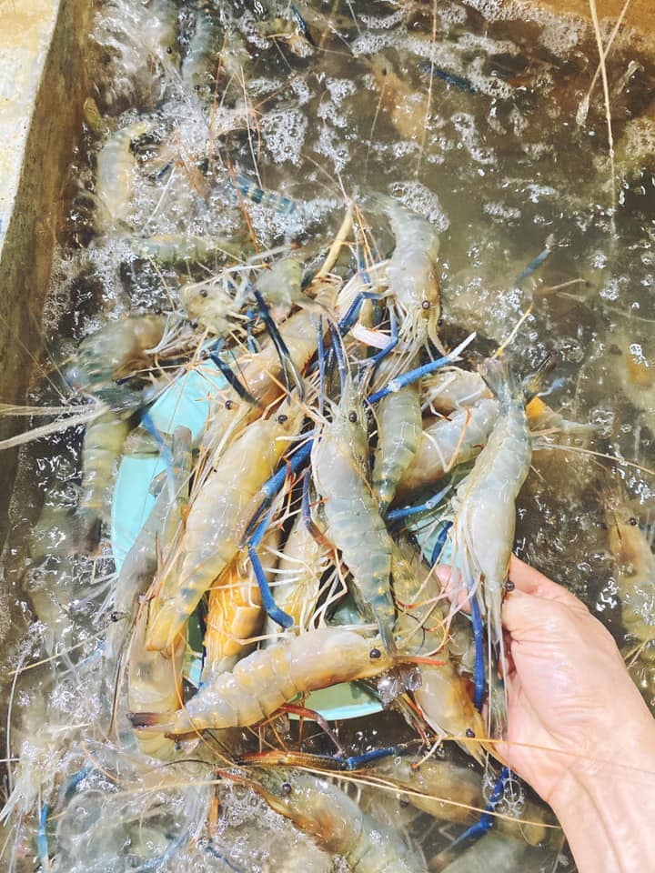 ร้านบุฟเฟ่ต์ซีฟู้ดพัทยา อาหารทะเลสดใหม่ทุกวัน อิ่มไม่อั้นรับประกันความสด