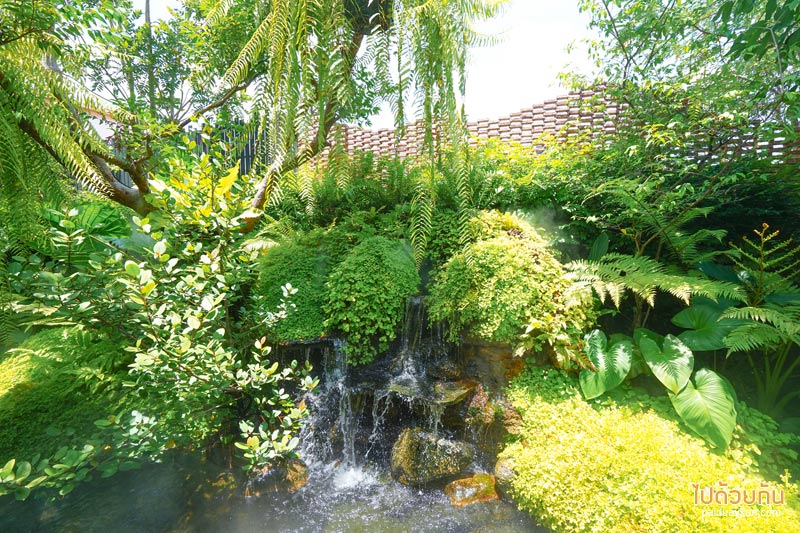 forest presso คาเฟ่สีเขียว ท่ามกลางสวนป่า ใจกลางกรุง