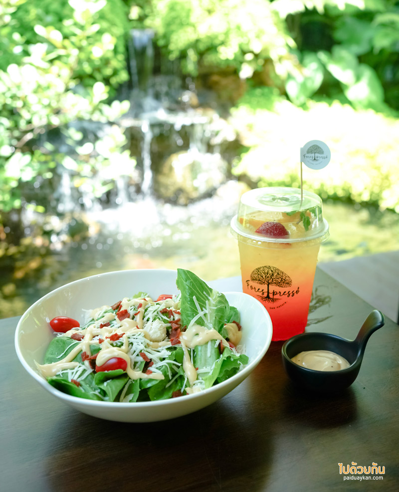 forest presso คาเฟ่สีเขียว ท่ามกลางสวนป่า ใจกลางกรุง