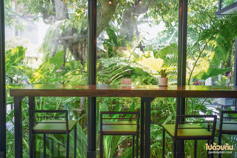 forest presso คาเฟ่สีเขียว ท่ามกลางสวนป่า ใจกลางกรุง
