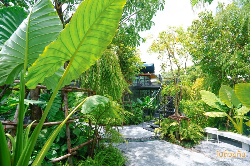 forest presso คาเฟ่สีเขียว ท่ามกลางสวนป่า ใจกลางกรุง