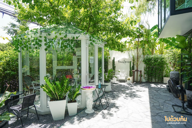 forest presso คาเฟ่สีเขียว ท่ามกลางสวนป่า ใจกลางกรุง