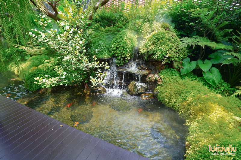 forest presso คาเฟ่สีเขียว ท่ามกลางสวนป่า ใจกลางกรุง