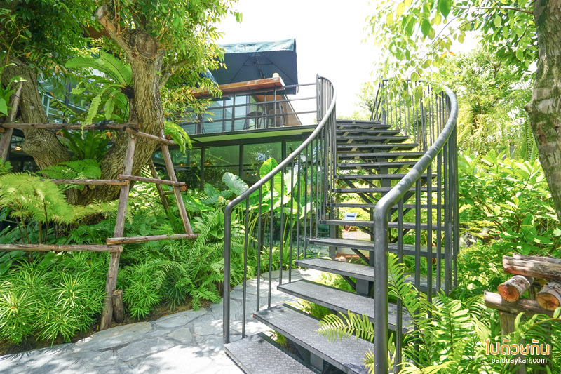 forest presso คาเฟ่สีเขียว ท่ามกลางสวนป่า ใจกลางกรุง