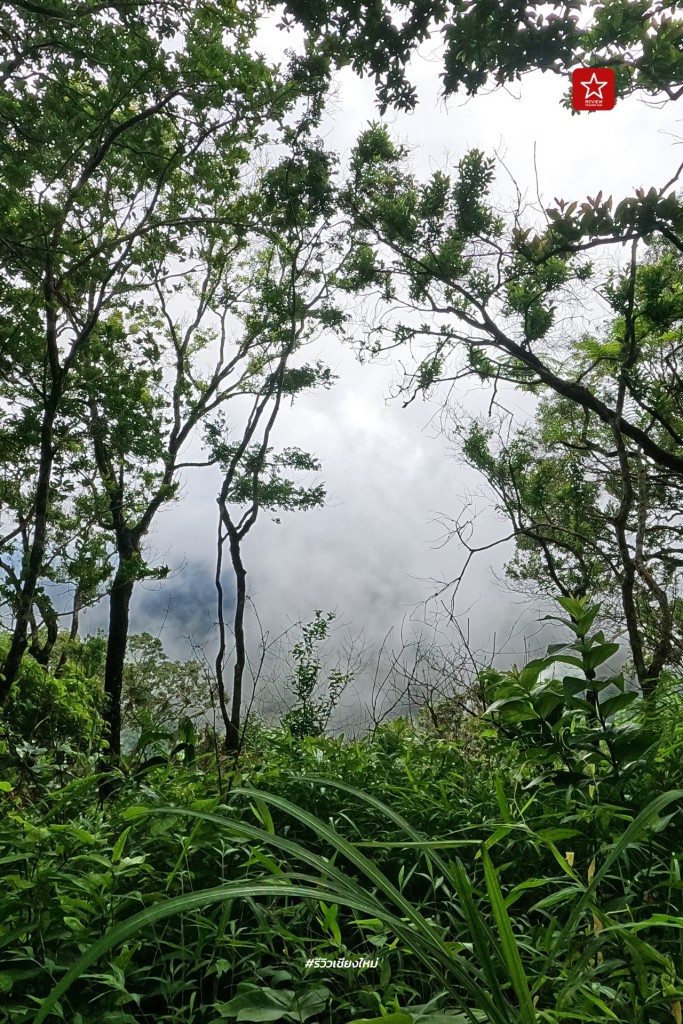 ดอยปุย, ดอยผากลอง, ดอยหัวหมู, เดินป่า, เส้นทางเดินป่า เชียงใหม่, เส้นทางบ้านม้งดอยปุย สู่ยอด ดอยผากลอง