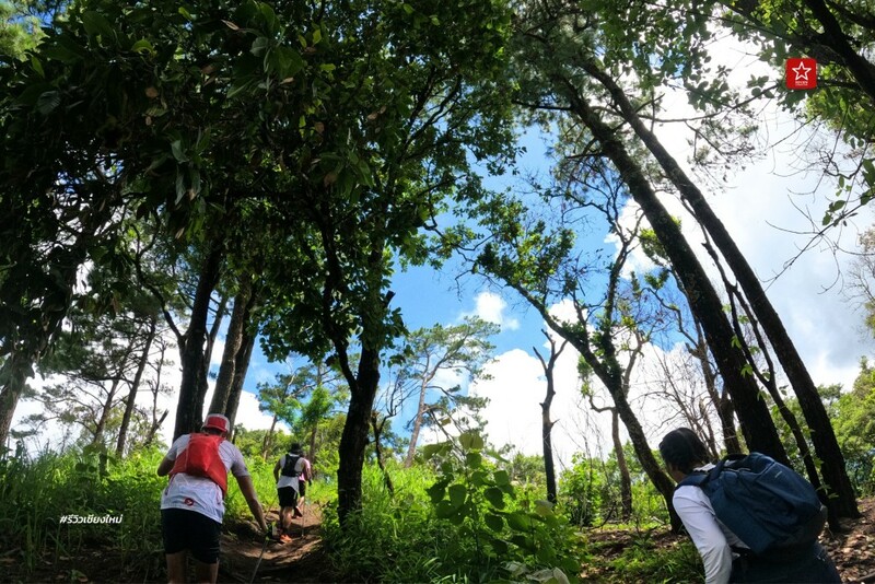 ดอยปุย, ดอยผากลอง, ดอยหัวหมู, เดินป่า, เส้นทางเดินป่า เชียงใหม่, เส้นทางบ้านม้งดอยปุย สู่ยอด ดอยผากลอง