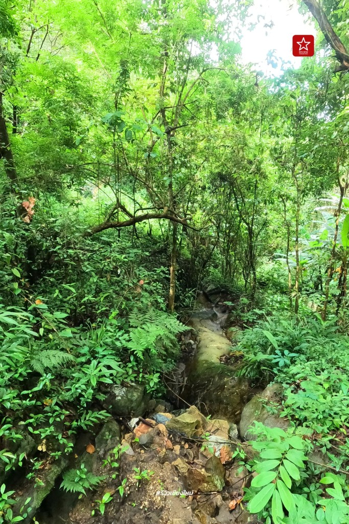 ดอยปุย, ดอยผากลอง, ดอยหัวหมู, เดินป่า, เส้นทางเดินป่า เชียงใหม่, เส้นทางบ้านม้งดอยปุย สู่ยอด ดอยผากลอง