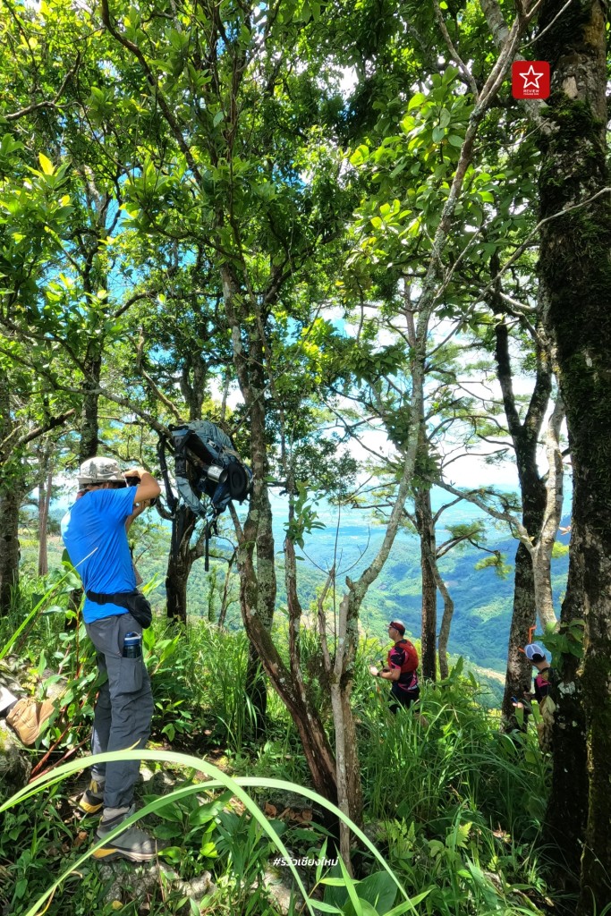 ดอยปุย, ดอยผากลอง, ดอยหัวหมู, เดินป่า, เส้นทางเดินป่า เชียงใหม่, เส้นทางบ้านม้งดอยปุย สู่ยอด ดอยผากลอง