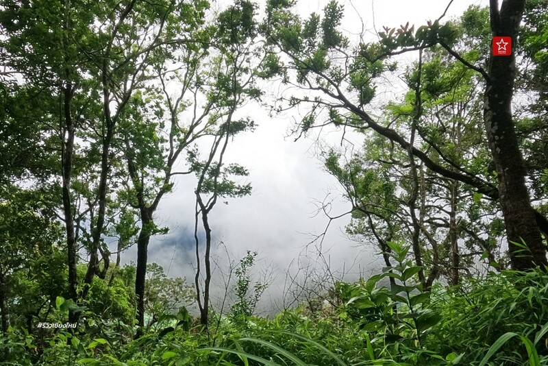 ดอยปุย, ดอยผากลอง, ดอยหัวหมู, เดินป่า, เส้นทางเดินป่า เชียงใหม่, เส้นทางบ้านม้งดอยปุย สู่ยอด ดอยผากลอง