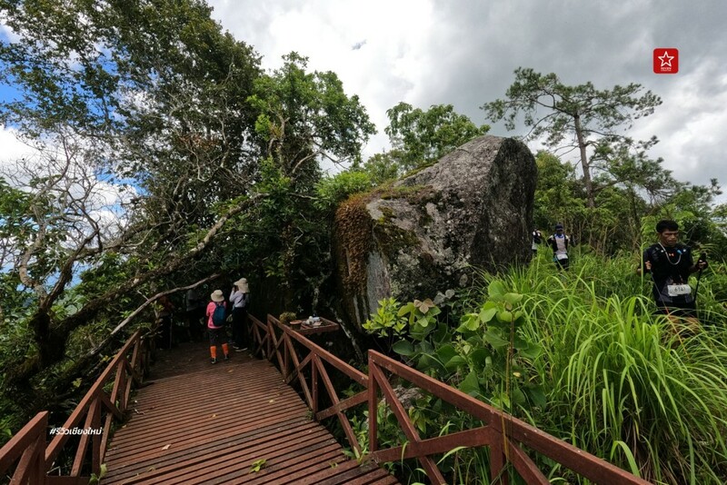 ดอยปุย, ดอยผากลอง, ดอยหัวหมู, เดินป่า, เส้นทางเดินป่า เชียงใหม่, เส้นทางบ้านม้งดอยปุย สู่ยอด ดอยผากลอง