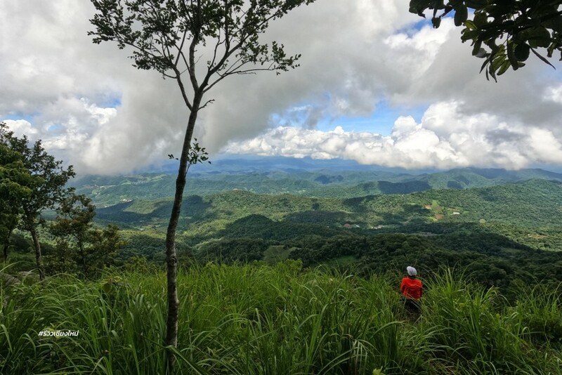 ดอยปุย, ดอยผากลอง, ดอยหัวหมู, เดินป่า, เส้นทางเดินป่า เชียงใหม่, เส้นทางบ้านม้งดอยปุย สู่ยอด ดอยผากลอง