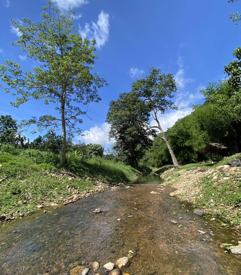 สระบุรี, top 10+ ที่เที่ยวแก่งคอย 2567 สระบุรี มวกเหล็ก ชะอม เล่นน้ำตก ชมธรรมชาติ ที่เที่ยวเด็ก