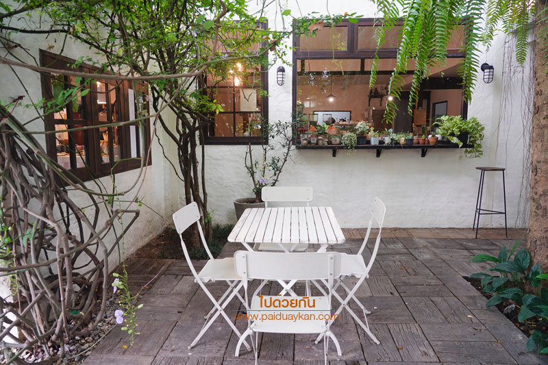 แพร่, เที่ยวแพร่, charlotte hut coffee แพร่, คาเฟ่แพร่, ร้านกาแฟแพร่, charlotte hut coffee & tea bar แพร่