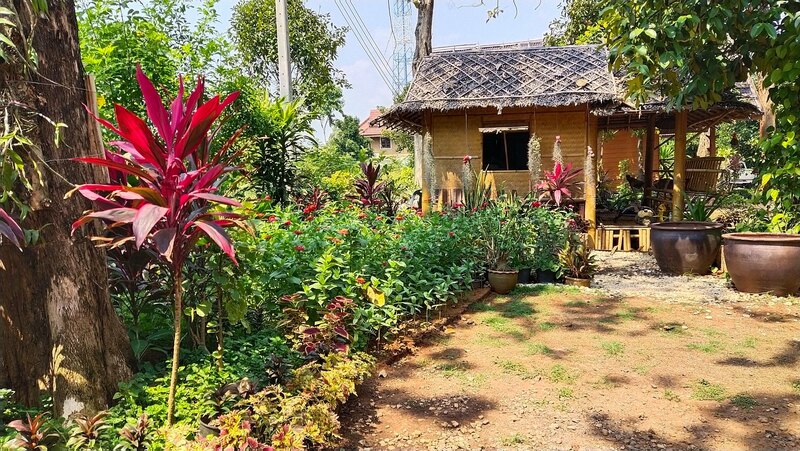 รวม 12 ร้านอาหารทะเลระยอง ร้านติดทะเล บรรยากาศชิลๆ พิกัดเด็ดที่น่าตามไปชิม!