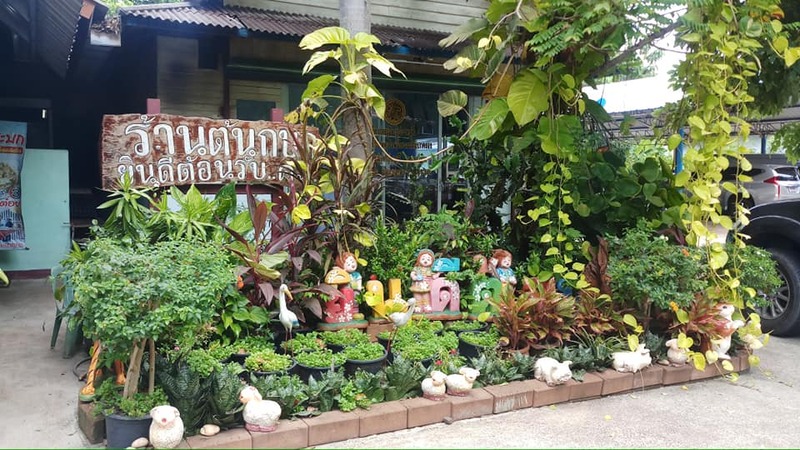 รวม 12 ร้านอาหารทะเลระยอง ร้านติดทะเล บรรยากาศชิลๆ พิกัดเด็ดที่น่าตามไปชิม!