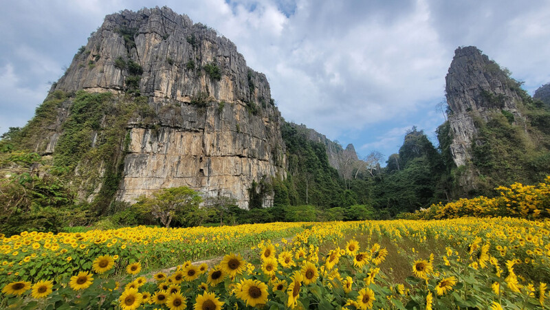 top 10+ ที่พักเนินมะปราง 2567 ที่พักบ้านมุง พิษณุโลก บรรยากาศดี ชมวิวภูเขาหินปูน