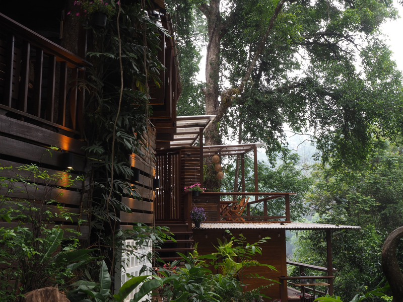 top 9+ ที่พักแม่กำปอง 2567 เชียงใหม่ โฮมสเตย์วิวสวย ธรรมชาติ ราคาถูก หลักร้อย