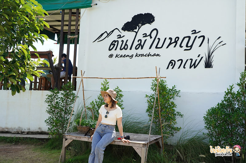 ร้านกาแฟเพชรบุรี, แก่งกระจาน, ต้นไม้ใบหญ้า แก่งกระจาน, ร้านกาแฟแก่งกระจาน, คาเฟ่แก่งกระจาน, ต้นไม้ใบหญ้า แก่งกระจาน นั่งชิล ชมวิวเขา