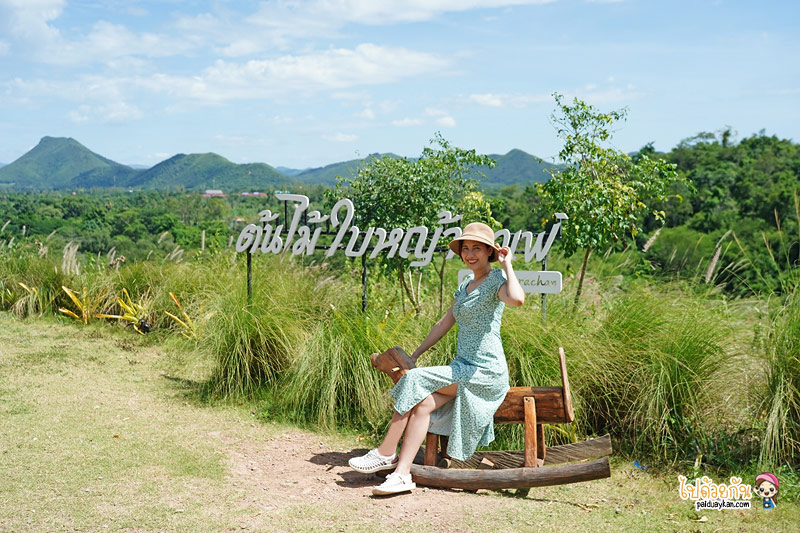 ร้านกาแฟเพชรบุรี, แก่งกระจาน, ต้นไม้ใบหญ้า แก่งกระจาน, ร้านกาแฟแก่งกระจาน, คาเฟ่แก่งกระจาน, ต้นไม้ใบหญ้า แก่งกระจาน นั่งชิล ชมวิวเขา