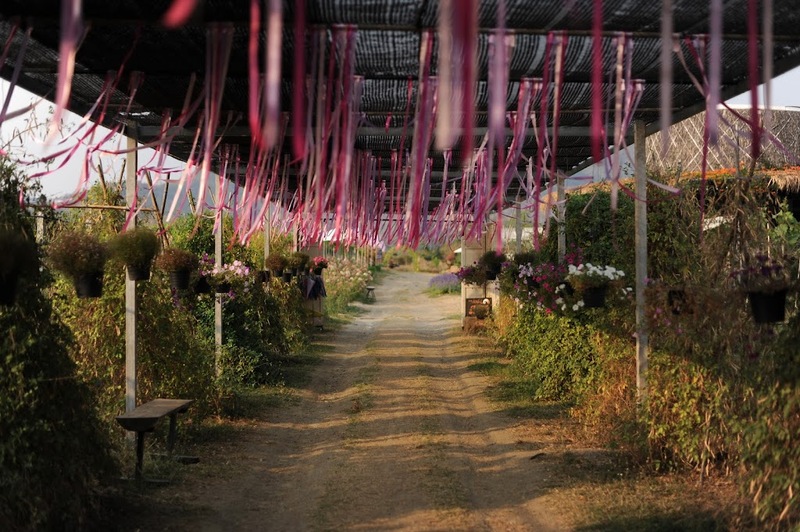 alpaca hill, camping field สวนผึ้ง, coro field, highland สวนผึ้ง, moai coffee, new land สวนผึ้ง, the camping field, the scenery vintage farm, veneto, veneto สวนผึ้ง, จุดชมวิวห้วยคอกหมู, จุดชมวิวเขากระโจม, ชิราคาวาโกะ คาเฟ่, ชิราคาวาโกะ สวนผึ้ง, ตลาดห้วยน้ำใส, ตลาดเช้าริมธาร, ตลาดเช้าริมธาร สวนผึ้ง, ตลาดโอ๊ะป่อย, ที่เที่ยวสวนผึ้ง, ที่เที่ยวสวนผึ้ง 2023, ที่เที่ยวสวนผึ้ง 2024, ที่เที่ยวสวนผึ้ง 2567, ธารน้ำร้อนบ่อคลึง, น้ำตกเก้าชั้น, น้ำตกเก้าโจน, นิวแลนด์ สวนผึ้ง, บ้านมอญห้วยน้ำใส, บ้านหอมเทียน, ราชบุรี, วอเตอร์ปาร์ค สวนผึ้ง, สวนป่าสิริกิตติ์, สวนผึ้ง, สวนผึ้งไฮแลนด์, สวนเลม่อน พสุธารา, สวนเลม่อน สวนผึ้ง, ห้วยคอกหมู, อัลปาก้า ฮิลล์, เขากระโจม, เดอะ ซีนเนอร์รี่ วินเทจ ฟาร์ม, เดอะรีสอร์ท วอเตอร์ปาร์ค, เที่ยวสวนผึ้ง, เที่ยวสวนผึ้ง 2024, เที่ยวสวนผึ้ง 2567, เวเนโต้ สวนผึ้ง, แก่งส้มแมว, โคโร่ ฟิลด์, โมไอ สวนผึ้ง, ไร่องุ่นมีสุข, ไร่องุ่นมีสุข สวนผึ้ง, top 20+ ที่เที่ยวสวนผึ้ง [กรกฎาคม 2024] สัมผัสธรรมชาติ ท่ามกลางหุบเขา จังหวัดราชบุรี